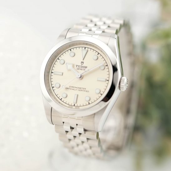 TUDOR チューダー ブラックベイ ワン 3179600-0003