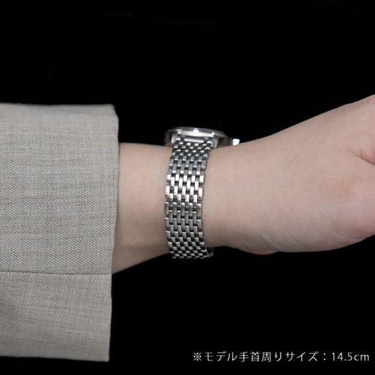 IWC インターナショナルウォッチカンパニー パイロットウォッチ マークXII IW442102【IWC創業125周年記念モデル】 ブラック