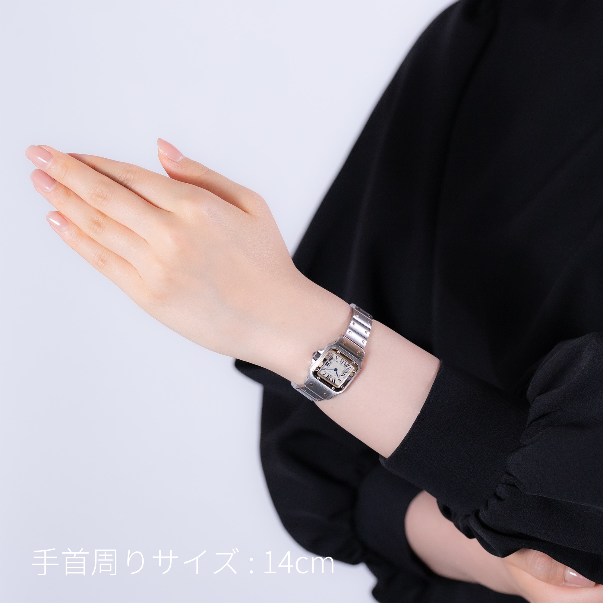 CARTIER カルティエ サントス デュモン ウォッチ SM WGSA0117