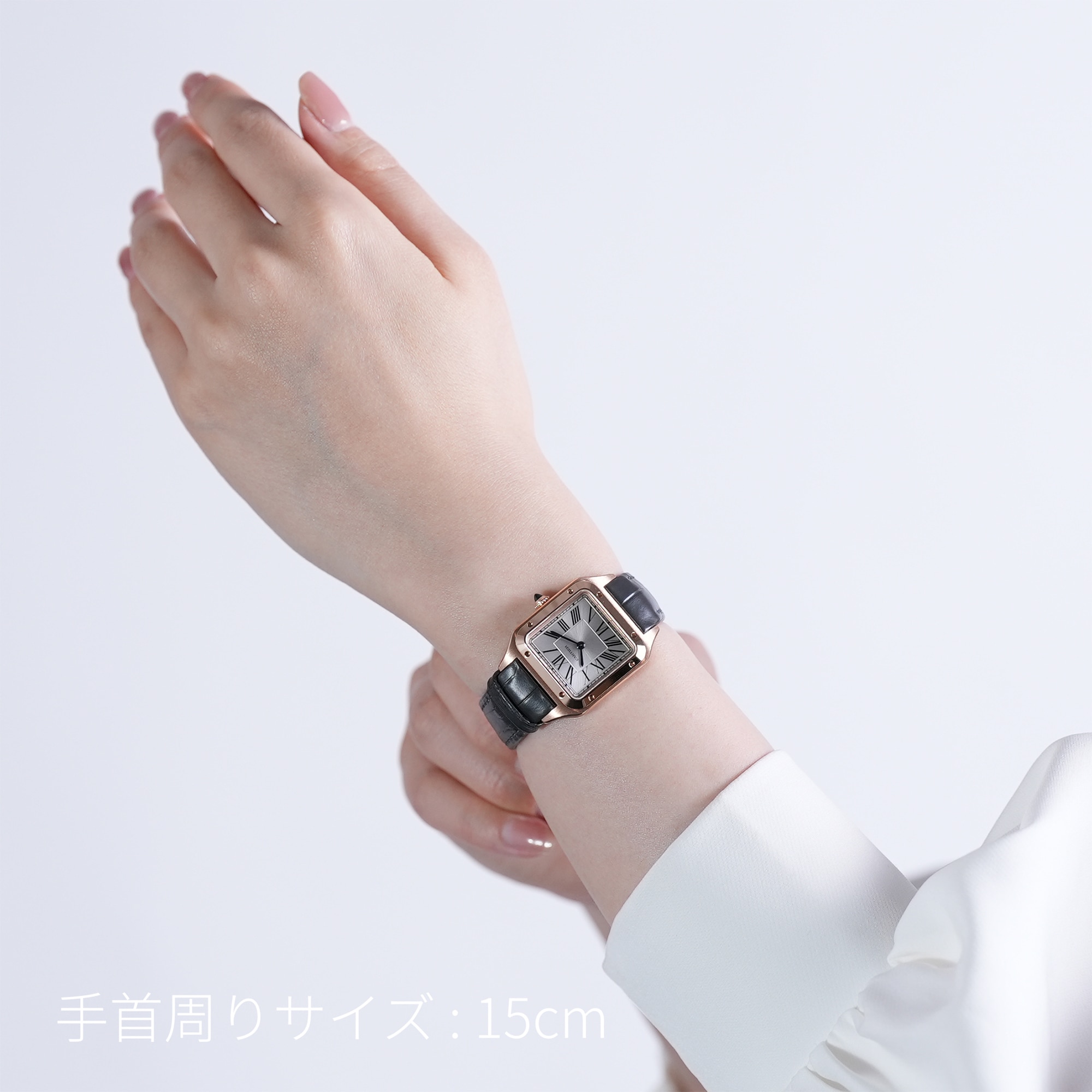 CARTIER カルティエ サントス デュモン ウォッチ SM WGSA0117