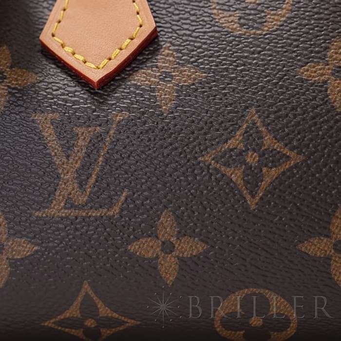 LOUIS VUITTON ルイ・ヴィトン ナノ・スピーディ M81085