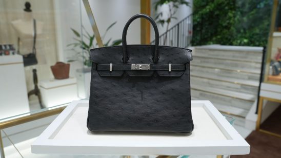 【希少なバーキン】エルメス バーキン25 オーストリッチ ノワール｜至高のエキゾチックレザーが放つ洗練美