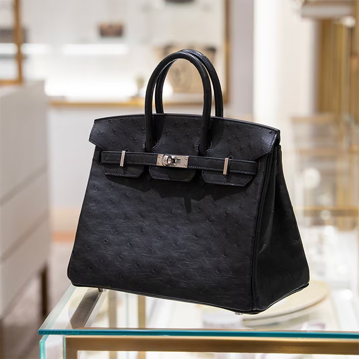 HERMES エルメス バーキン 25 オーストリッチ ノワール シルバー金具